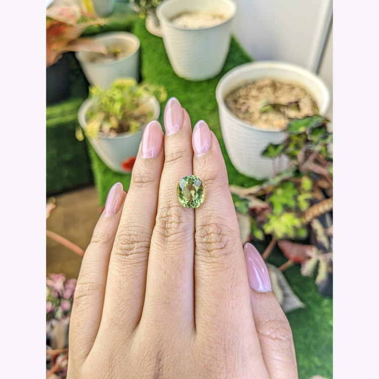 5.35 Ct. Yellowish Green Prasiolite from Brazil