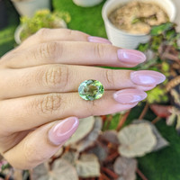 5.34 Ct. Green Prasiolite from Brazil Life Style