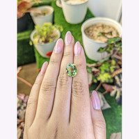 5.34 Ct. Green Prasiolite from Brazil Life Style