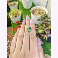 5.33 Ct. Green Prasiolite from Brazil Life Style