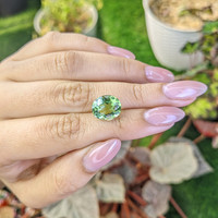 5.33 Ct. Green Prasiolite from Brazil Life Style