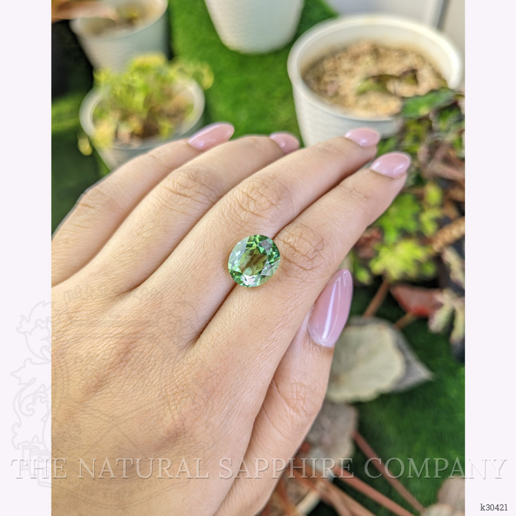 5.33 Ct. Green Prasiolite from Brazil