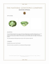 5.62 Ct. Yellowish Green Prasiolite from Brazil Appraisal