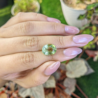 5.62 Ct. Yellowish Green Prasiolite from Brazil Life Style