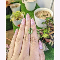 5.62 Ct. Yellowish Green Prasiolite from Brazil Life Style
