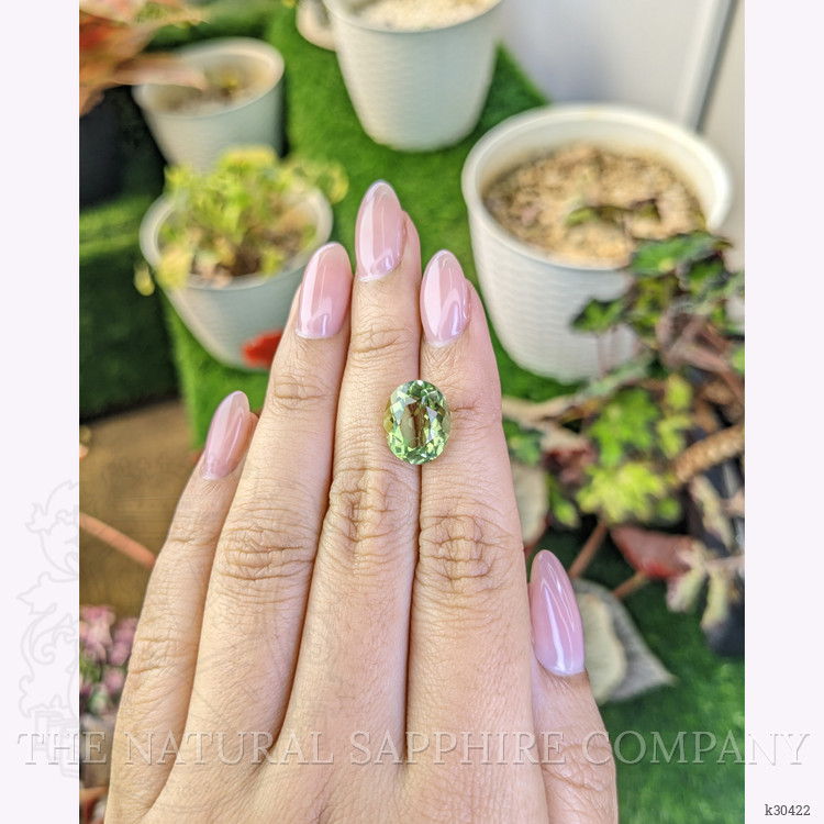 5.62 Ct. Yellowish Green Prasiolite from Brazil