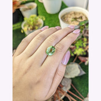 5.62 Ct. Yellowish Green Prasiolite from Brazil Life Style