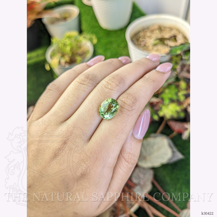 5.62 Ct. Yellowish Green Prasiolite from Brazil