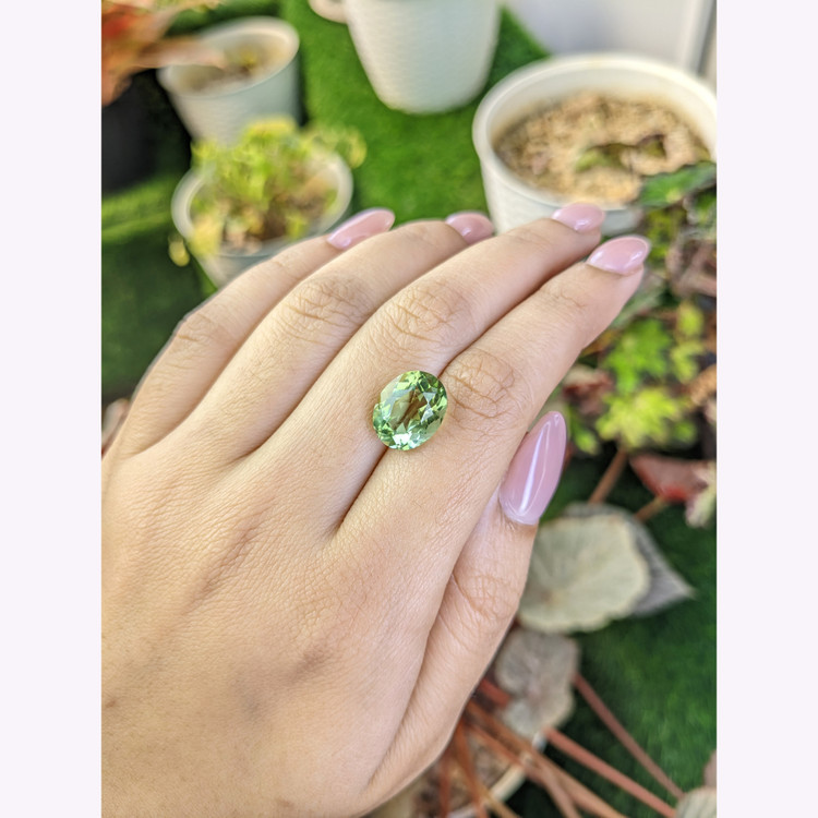 5.62 Ct. Yellowish Green Prasiolite from Brazil