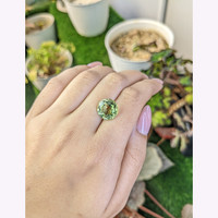 6.33 Ct. Yellowish Green Prasiolite from Brazil Life Style