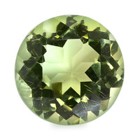 6.09 Ct.Tw. Round Prasiolite