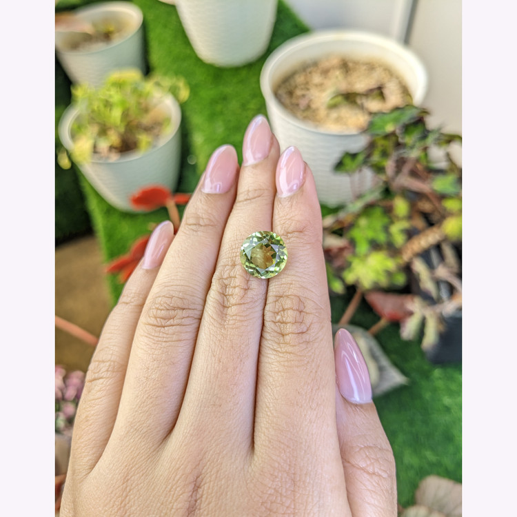 6.09 Ct. Yellowish Green Prasiolite from Brazil