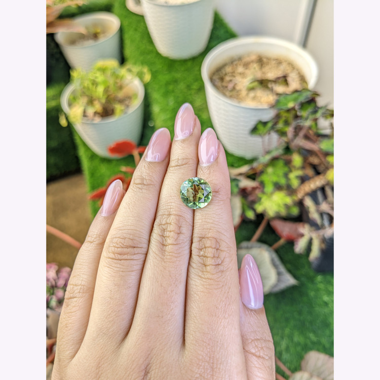 5.10 Ct. Yellowish Green Prasiolite from Brazil