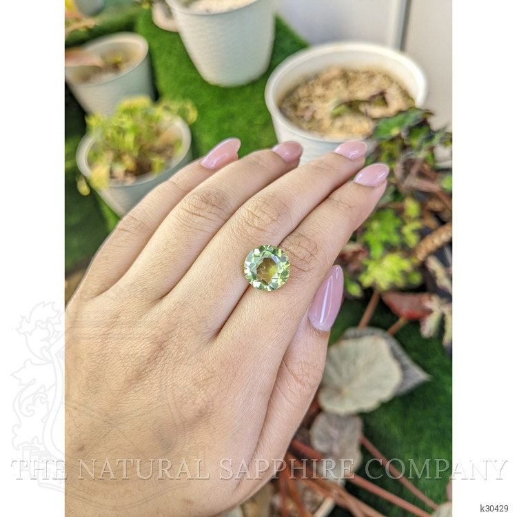 5.88 Ct. Yellowish Green Prasiolite from Brazil
