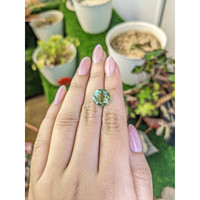 4.95 Ct. Green Prasiolite from Brazil Life Style