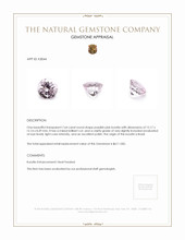 7.64 Ct. Kunzite from Brazil Appraisal