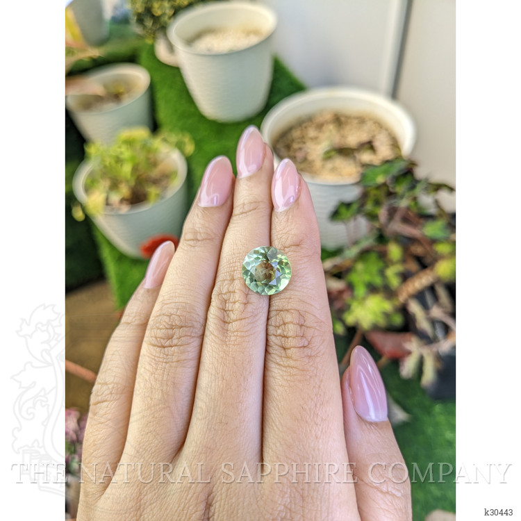 5.93 Ct. Yellowish Green Prasiolite from Brazil
