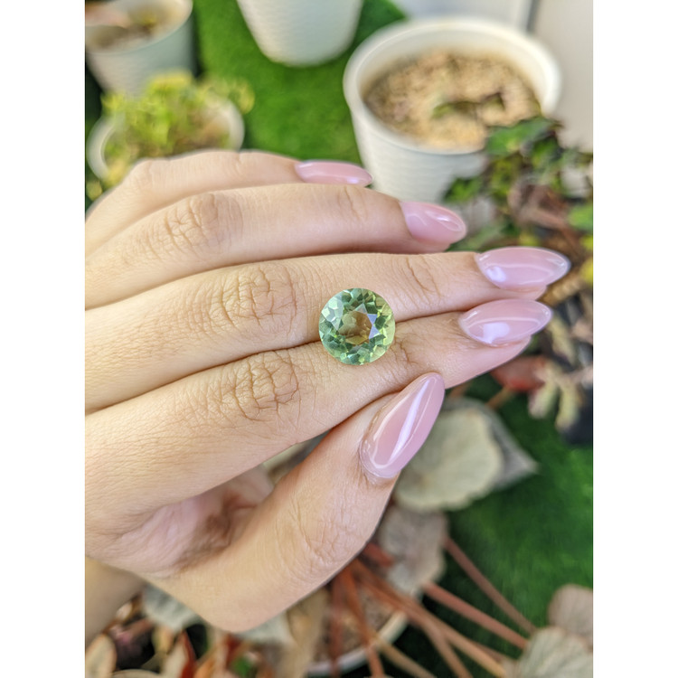 5.93 Ct. Yellowish Green Prasiolite from Brazil
