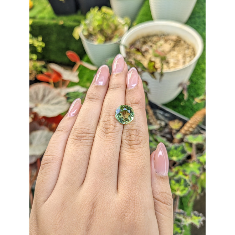 5.55 Ct. Green Prasiolite from Brazil