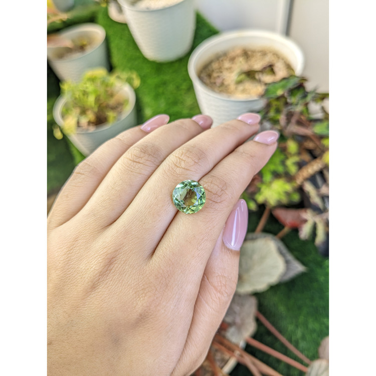 5.67 Ct. Yellowish Green Prasiolite from Brazil