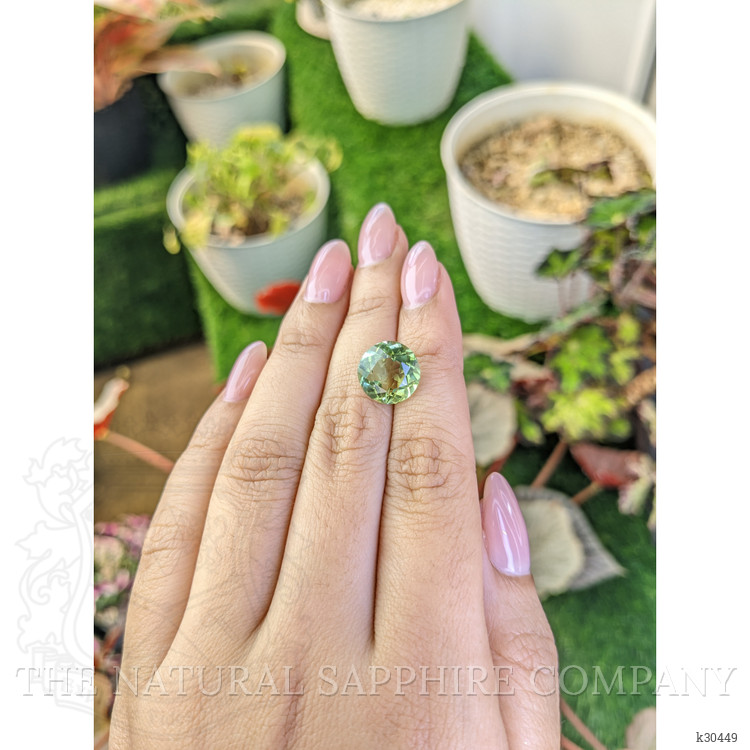 5.67 Ct. Yellowish Green Prasiolite from Brazil