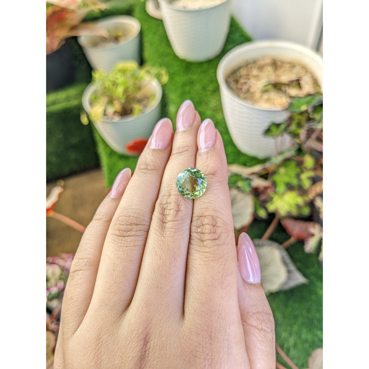 5.67 Ct. Yellowish Green Prasiolite from Brazil