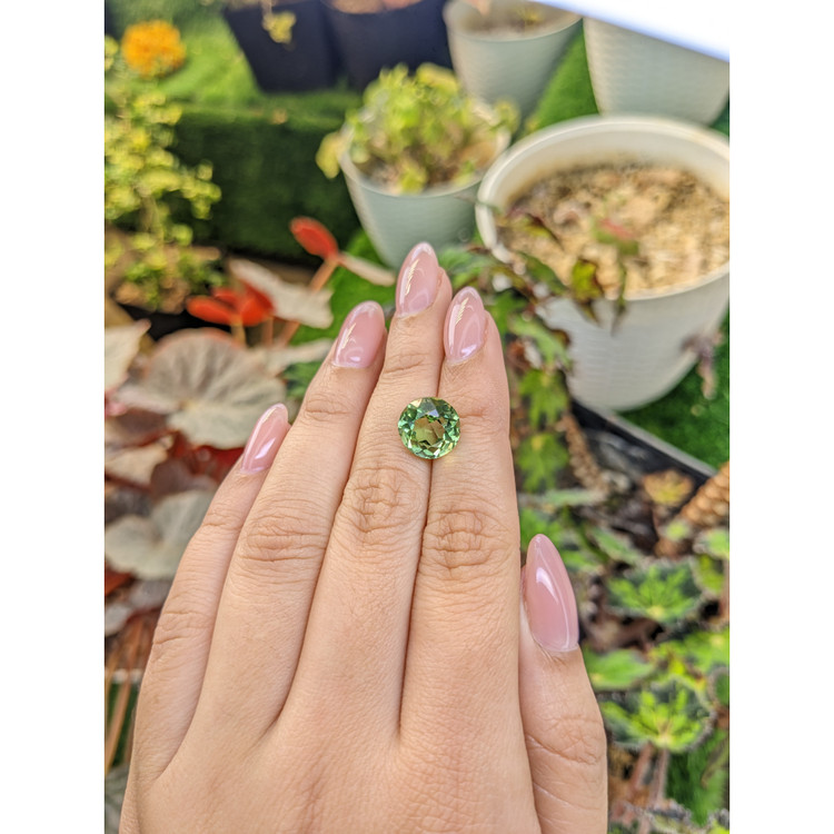 5.04 Ct. Green Prasiolite from Brazil