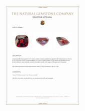 5.37 Ct. Purplish Red Garnet from Tanzania Appraisal