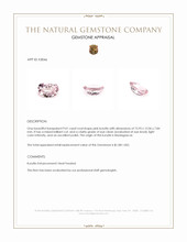 9.01 Ct. Pink Kunzite from Madagascar Appraisal