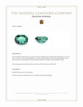 4.26 Ct. Bluish Green Prasiolite from Brazil Appraisal