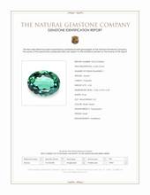 4.26 Ct. Bluish Green Prasiolite from Brazil Scan Report