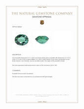 4.71 Ct. Bluish Green Prasiolite from Brazil Appraisal