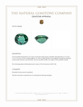 6.22 Ct. Bluish Green Prasiolite from Brazil Appraisal