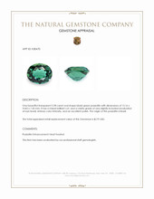 5.98 Ct. Bluish Green Prasiolite from Brazil Appraisal