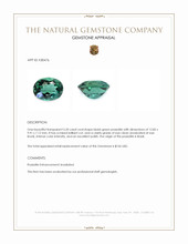 5.20 Ct. Bluish Green Prasiolite from Brazil Appraisal