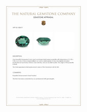 4.46 Ct. Bluish Green Prasiolite from Brazil Appraisal