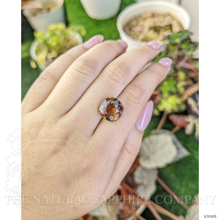 7.02 Ct. Bi Color Ametrine from Brazil