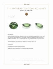 0.84 Ct. Green Tourmaline from Ceylon (Sri Lanka) Appraisal