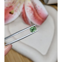 0.84 Ct. Green Tourmaline from Ceylon (Sri Lanka) Life Style
