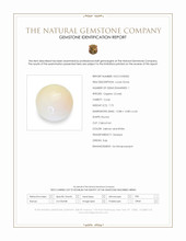 7.75 Ct. Salmon and White Cabochon Coral from Italy Scan Report