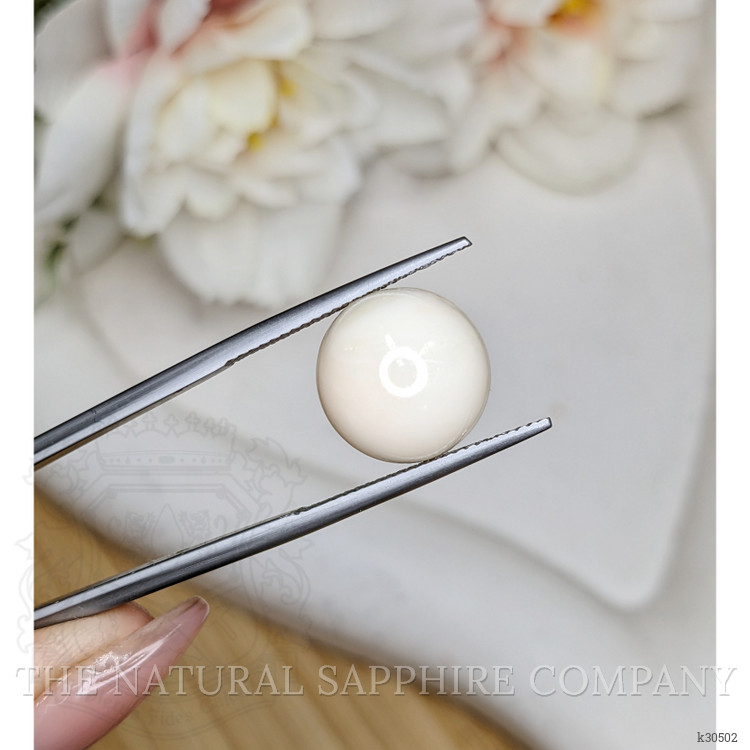 7.75 Ct. Salmon and White Cabochon Coral from Italy