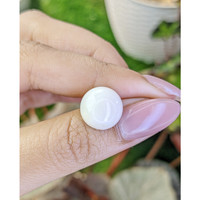 7.75 Ct. Salmon and White Cabochon Coral from Italy Life Style