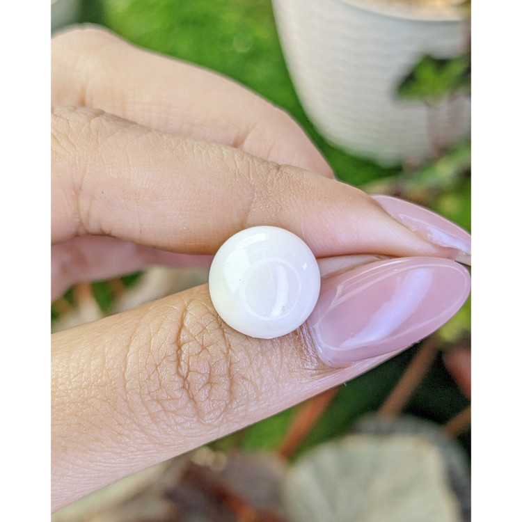7.75 Ct. Salmon and White Cabochon Coral from Italy