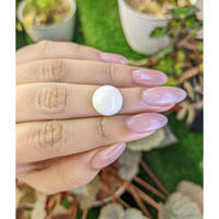 7.75 Ct. Salmon and White Cabochon Coral from Italy Life Style