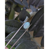 1.89 Ct. Multi Color Cabochon White Opal (Light Opal) from Ethiopia Life Style