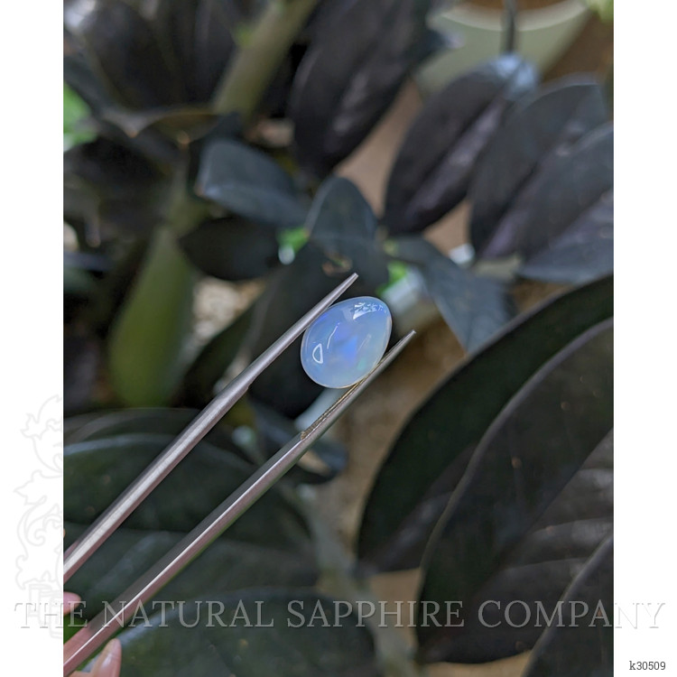 2.70 Ct. Multi Color Cabochon White Opal (Light Opal) from Ethiopia
