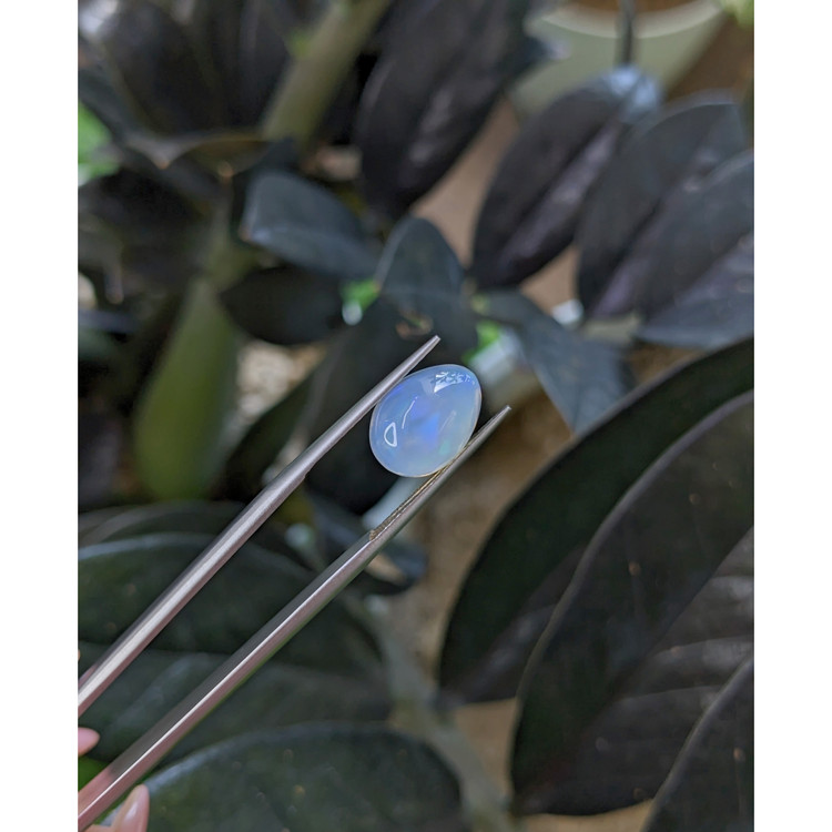 2.70 Ct. Multi Color Cabochon White Opal (Light Opal) from Ethiopia