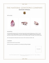 26.95 Ct. Kunzite from Brazil Appraisal