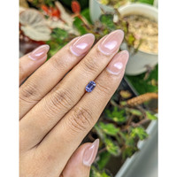 0.67 Ct. Violet Spinel from Ceylon (Sri Lanka) Life Style
