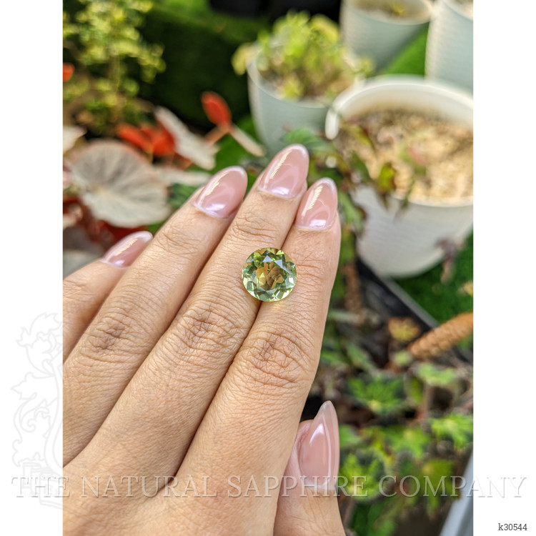 5.67 Ct. Yellowish Green Prasiolite from Brazil